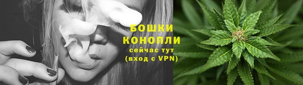 прущий лед Гусев