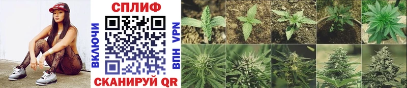 Каннабис Ganja  hydra ссылки  Новая Ладога 